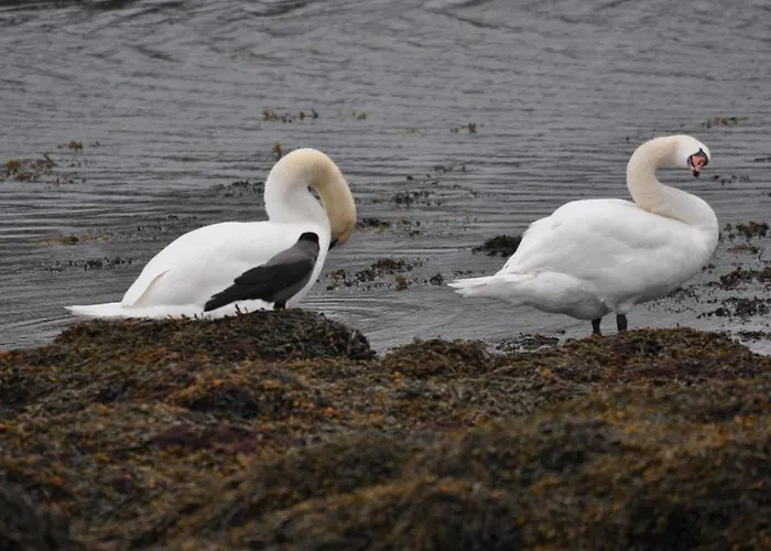 Meadowfield Bed & Breakfast Ballyvaughan